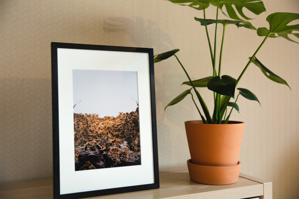 A photo frame on a table next to the plant