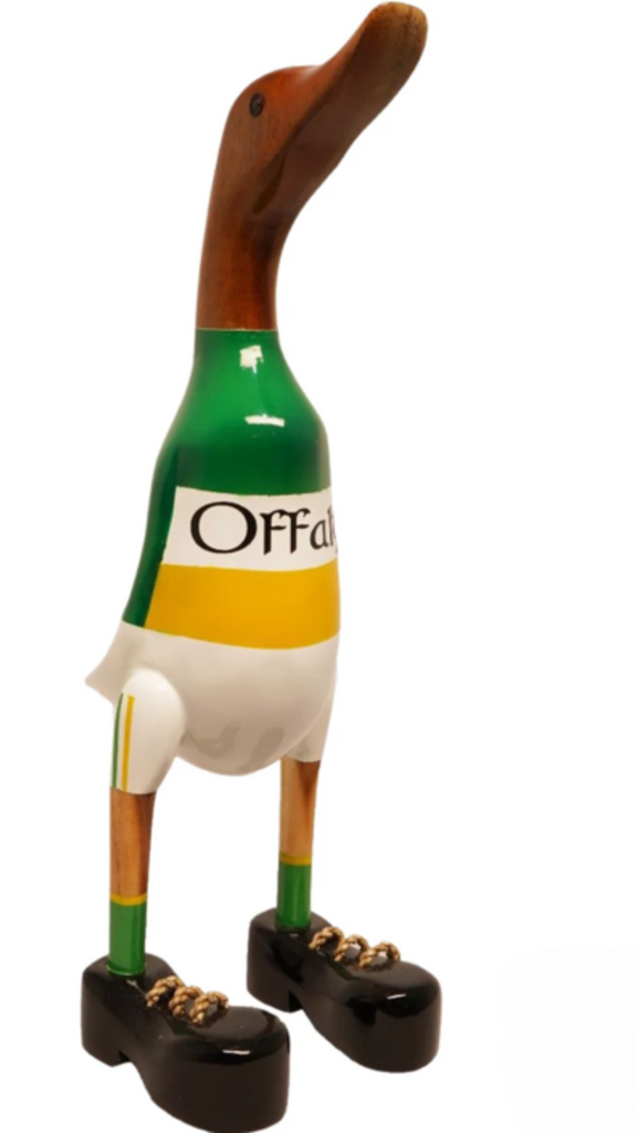 Offaly Duck - MacCarthys